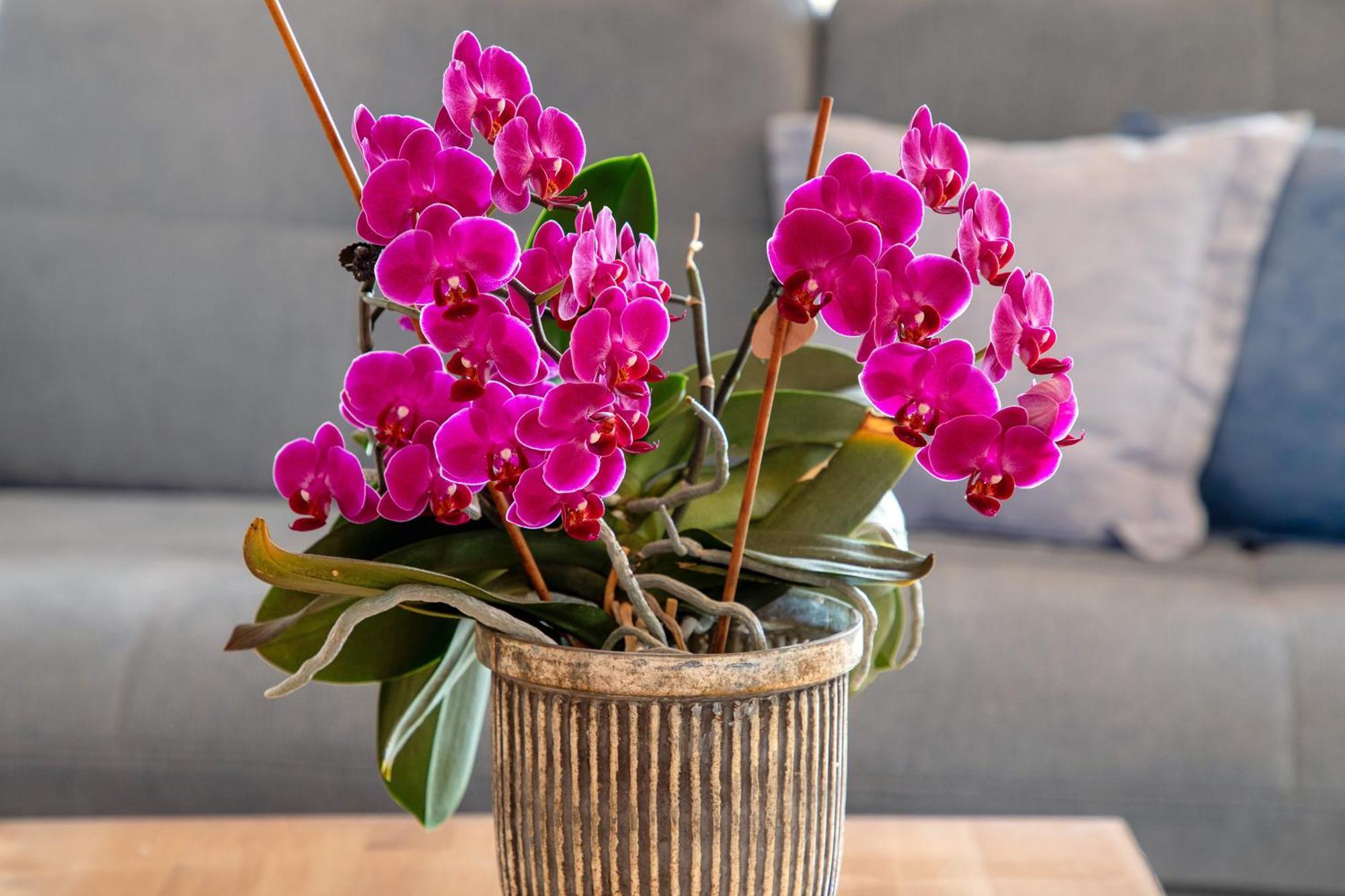 Ferienwohnung Fernsicht Zwiefalten ภายนอก รูปภาพ